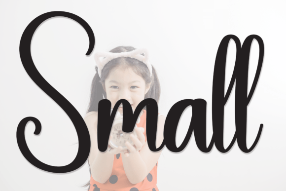 Download Small - Premium Bundle